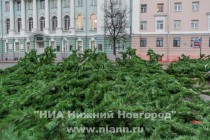 Монтаж главной новогодней елки начался в Нижнем Новгороде