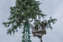 Монтаж главной новогодней елки начался в Нижнем Новгороде
