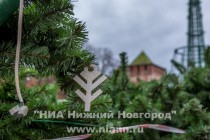 Монтаж главной новогодней елки начался в Нижнем Новгороде