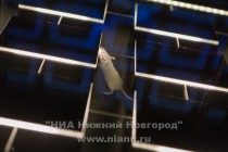 Пресс-показ выставки Квантовая запутанность 2.0 прошел в ГЦСИ Арсенал