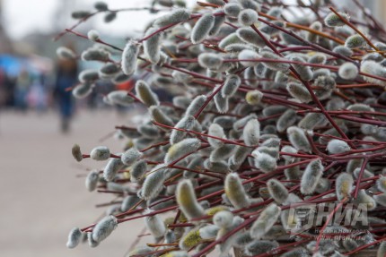 Весна пришла в Нижний Новгород