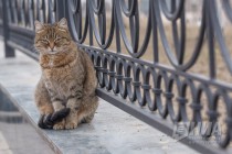 Весна в Нижнем Новгороде