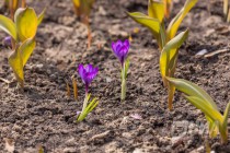 Весна в Нижнем Новгороде