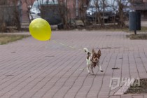 Весна в Нижнем Новгороде
