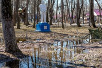 Памятник Максиму Горькому в Парке им. 1 Мая