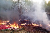 Собственник сгоревшего в Чкаловском районе Нижегородской воздушного шара предстанет перед судом