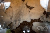 Нижегородский пивзавод Волга отметил 80-летие