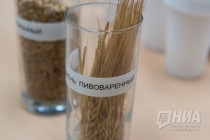 Нижегородский пивзавод Волга отметил 80-летие