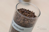 Нижегородский пивзавод Волга отметил 80-летие