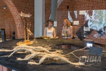 Выставка Жизнь живых.