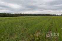 Аграрный комитет ЗС НО одобрил перечень районов для предоставления земель в пользование гражданам