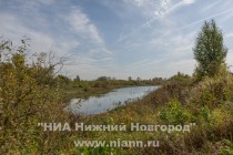 Облправительство сменило зонирование участка в районе нижегородской Копосовской дубравы на зону многоквартирной застройки