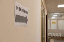 ЦИК рекомендовал кандидатуру Оксаны Кислициной на пост председателя избиркома Нижегородской области