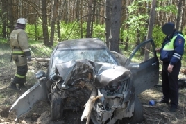 Автомобиль съехал в кювет и врезался в дерево в Нижегородской области 23 мая