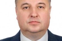 Муниципальные и частные службы эвакуации делают большую совместную работу, - Дмитрий Брылин