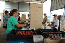 ООО Рассвет