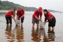 Выпуск молоди стерляди в реку Волгу
