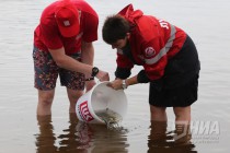 Выпуск молоди стерляди в реку Волгу