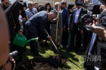 Гости вместе с монахинями сажают сакуру