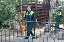 Работники зоопарка приготовили тематические угощения для питомцев к 1 сентября