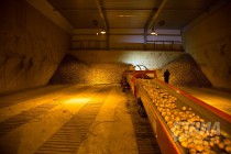 Пресс-тур на производственные площадки АФГ Националь