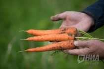 Пресс-тур на производственные площадки АФГ Националь
