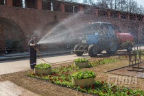 Нижегородская администрация ведет переговоры с облправительством о выделении средств на высадку цветов