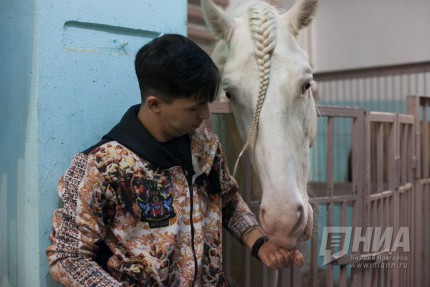 Пресс-конференция артистов - дрессировщиков и знакомство с животными шоу Гии Эрадзе Баронеты