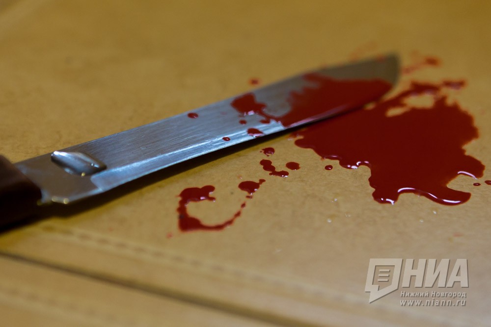 Мужчина обвиняется в убийстве сожительницы в Выксе Нижегородской области