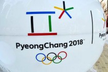 Шесть нижегородских спортсменов примут участие в Олимпийских играх в Корее