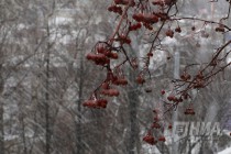 Непогода в Нижнем Новгороде