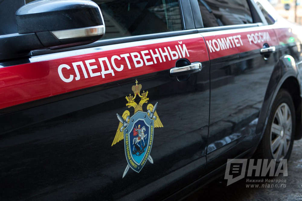 Нижегородский СУ СК возбудил уголовное дело в отношении Александра и Владимира Глушковых