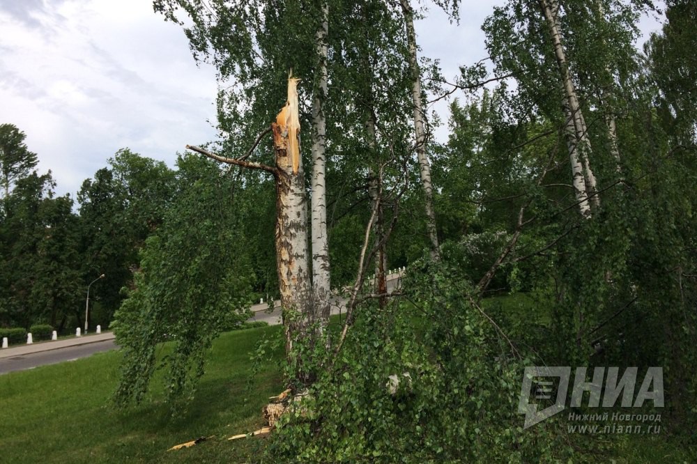 Нижегородская область чс