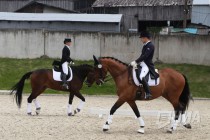 Этап Кубка мира по выездке в Нижнем Новгороде