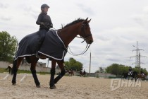 Этап Кубка мира по выездке в Нижнем Новгороде