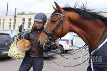 Этап Кубка мира по выездке в Нижнем Новгороде