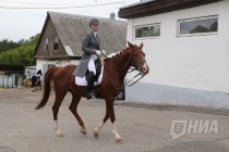 Этап Кубка мира по выездке в Нижнем Новгороде