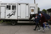 Этап Кубка мира по выездке в Нижнем Новгороде