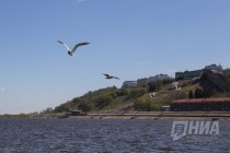 Более 3 млрд рублей будет выделено Нижегородской области в 2019 году на оздоровление р.Волги