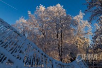 Нижегородским школьникам разрешили не посещать учебные заведения при сильных морозах