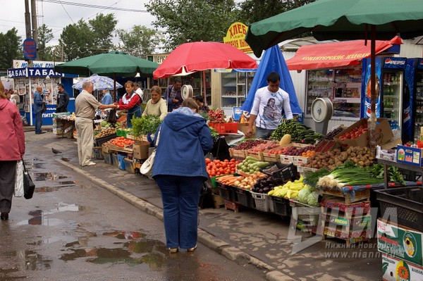 Порядок размещения нестационарных торговых объектов хотят упростить в Нижнем Новгороде