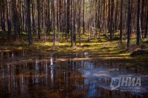 Пресс-тур по Керженскому заповеднику Нижегородской области