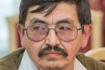 Нижегородские власти при строительстве гидроузла хотят посчитать все риски, - Асхат Каюмов