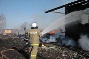 Два человека погибли в результате пожара в Большеболдинском районе