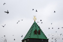 Сильный ветер вновь прогнозируется в Нижегородской области