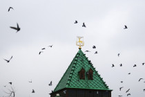 Почти 1,5 тысячи ИП Нижнего Новгорода получили разрешение работать во время пандемии