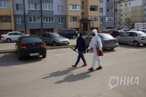 Новые правила: ужесточение требований к прибывшим из других регионов, запрет на охоту и кашеринг