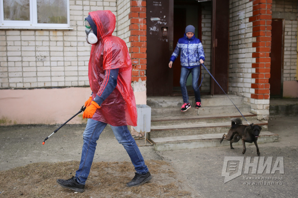 Заболевших COVID-19 за прошедшие сутки не выявлено в 29 районах Нижегородской области