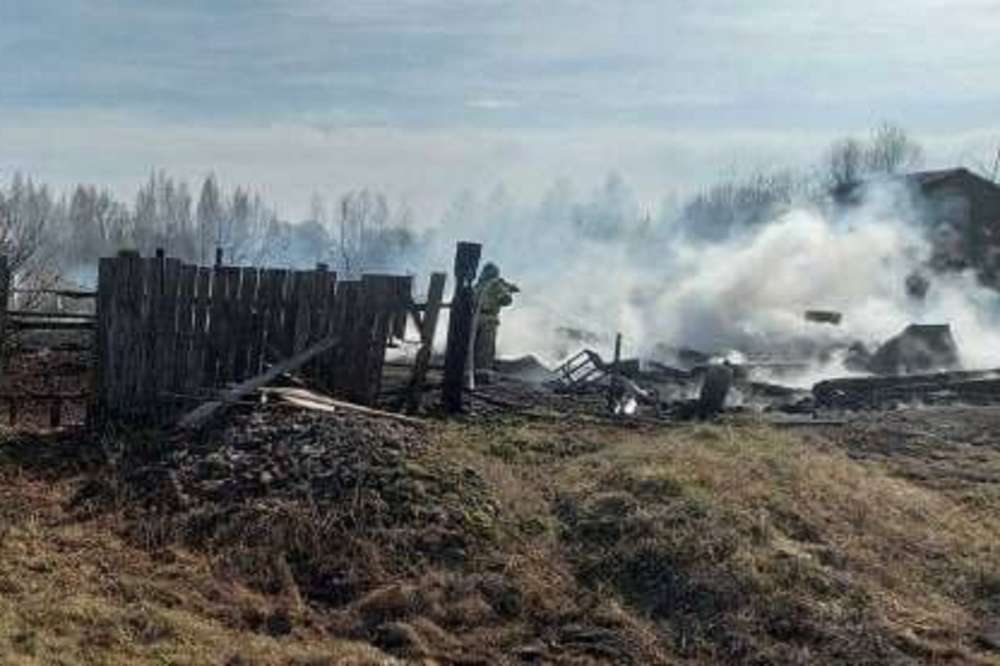 Огонь с подожженной травы уничтожил три дома и четыре бани в селе под Арзамасом (ФОТО, ВИДЕО)