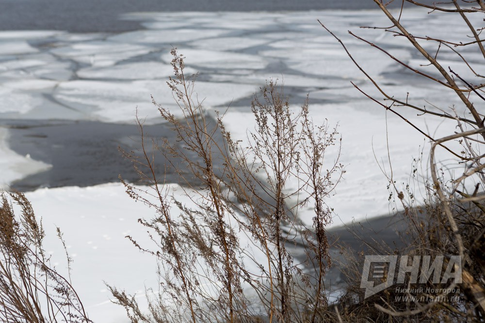 Пятерых детей и 28 рыбаков сняли с льдин в Нижегородской области на прошлой неделе